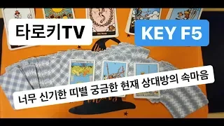 [타로] 너무 신기한 띠별로 본 상대방의 속마음, 너무 궁금한 속마음?! 기업인 유명인 연예인도 찾아오는 색깔로 보는 음양오행 타로키타로