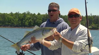 Striped Bass Fishing on Casco Bay, Maine | S10 E1