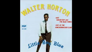 Walter Horton- Little boy blue