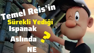 Temel Reis'in Sürekli Yediği Ispanak Aslında NE?