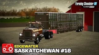 BUYING MORE COWS!! [Edgewater Saskatchewan] FS22 Timelapse # 16