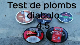 Test de plombs 4.5