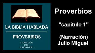 LA SANTA BIBLIA   PROVERBIOS -  CAPITULO 1