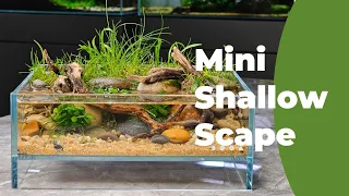 Mini Shallow Tank Low Tech Aquascape - Rivers Edge Step by step