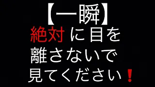 【一瞬】絶対に目を離さないで見てください！やり過ぎ母親の子供虐待⁈ドラレコ映像