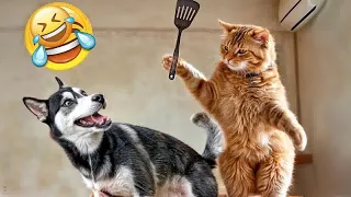 When a silly Cat becomes your best friend😍😻The funniest animals and pets 🐶👋
