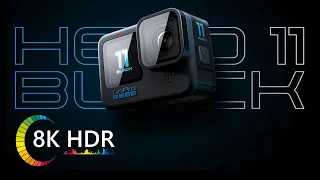 GoPro HERO 11 HDR 10-bit Cinematic video