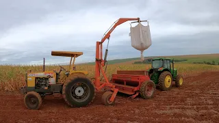 Vai ser colhido os milho e as lavoura de inverno ainda não nasceram