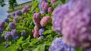 Gardeners World Season 50 Episode 26 (September 22, 2017)