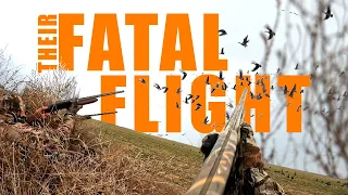 Check Out This Gritty Goose Hunt - Their Fatal Flight!