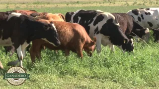 Establecimiento La Posta- Centro de Capacitación para Productores del Club del Inversor Ganadero