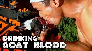 Drinking Goat Blood