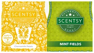 Tester Tuesday Chamomile Petals and Mint Fields (Scentsy Reviews) 193