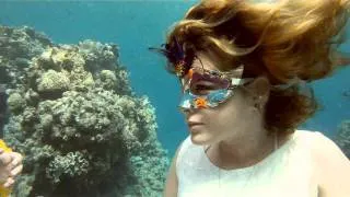 underwater clown amosrafaeli.wmv