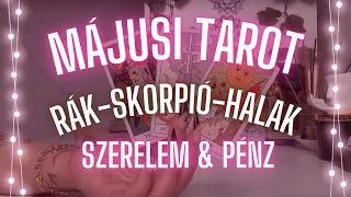 ✨ Halak, Rák, Skorpió május havi tarot ✨ szerelem ❤️ pénz 💸 ✨ Mit hoz ez a hónap? ✨