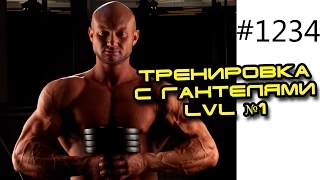 Тренировка с гантелями LVL №1 в домашних условиях для мужчин