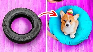 Cheap And Cute Pet Crafts And Gadgets For Your Loved Ones || Room Decor For Dogs And Cats