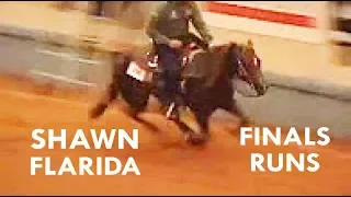 Shawn Flarida, Reining Horse
