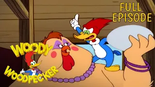 All the Eggs You Can Eat | Full Episode | Woody Woodpecker