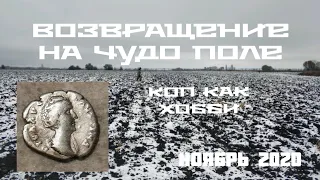 Возвращение на Чудо Поле. Находки разных эпох ждали нас. Денарий, Полтораки.