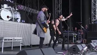 Three Days Grace - Live at Nova Rock 2019