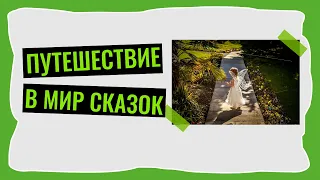 Вы никогда не угадаете, что случилось с Лисой и Журавлем