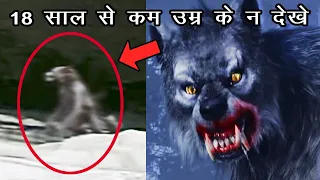 असली भेड़िया मानव की 3 भयानक घटनाये | 3 Real Werewolf Incidents In Hindi #bhediya #werewolfhindi