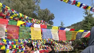 Tse10 at tso Pema and precious caves #tibetanvlogger #belgium #young #couple