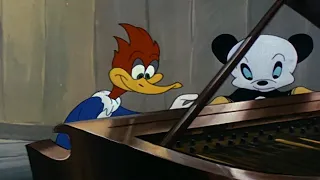 Musical Moments from Chopin | Woody the Woodpecker | Cartoons for Kids | WildBrain Bananas