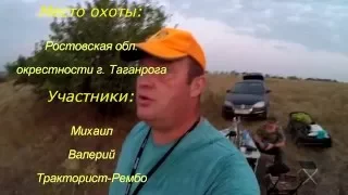 Охота на перепела, с дратхааром в Ростовской обл., сентябрь 15гHunting for quail, with drathaar