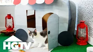 Make an Adorable Cat Camper Out of Cardboard | HGTV Happy | HGTV