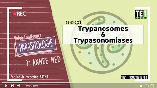flagellés sanguicoles et tissulaires : Trypanosomes & Trypanosomiases