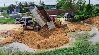 First Starting New Project Wonderful show Land fill up Processsing 5Ton Dump truck with Dozer  Push