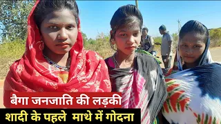 क्या आप करेंगे बैगा लड़की से शादी | 100 साल पीछे  है यहां के लोग -Baiga Tribal chhattisgarh