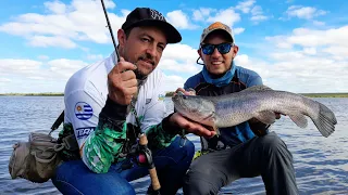 🎣🤯 Las tarariras del Río Negro | pesca tarariras Uruguay 🎣♻️🇺🇾