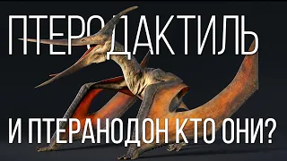 PTERODACTYL: A flying dinosaur the size of a crow | Interesting Facts About Dinosaurs