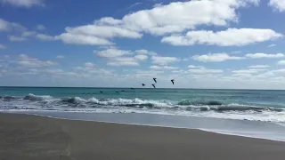 Pelicans flying low over waves