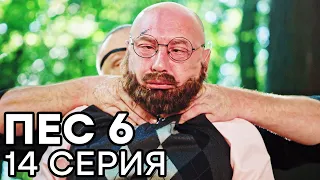 Сериал ПЕС 6 - 6 сезон - 14 серия - ВСЕ СЕРИИ смотреть онлайн | СЕРИАЛЫ ICTV