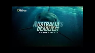 Australia's Deadliest: Shark Coast [HD National Geographic] PBS Nova :