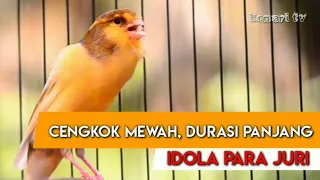 KENARI CENGKOK MEWAH DURASI PANJANG,Masteran paling disukai JURI