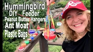Hummingbird Peanut Butter Feeder EASY DIY Hanger & Ant Moat Hummingbirds Love Nectar Homemade Recipe