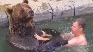 Dad called for a swim 🐻🌊 Bear Mansur