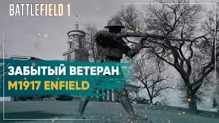 Винтовка снайпера M1917 Enfield - Battlefield 1