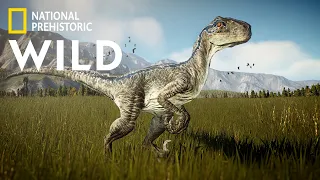 A fearsome hunter | VELOCIRAPTOR | JWE2 Dinosaurs in the WILD