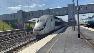 Train Spotting at Champagne Ardenne TGV