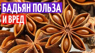Бадьян польза и вред. Рецепты с бадьяном I Herbals-ua.com