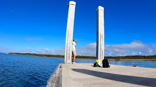 Catching SHEEPSHEAD from Shore! Jacksonville, FL