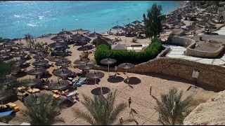 Reef Oasis Beach 5* hotel review (Sharm El Sheikh)