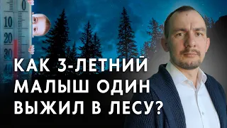 Явление. Невероятная история спасения трёхлетнего ребёнка! / Забайкальский муравей