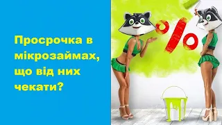 Просрочка в мікрозаймах (МФО) що від них чекати?